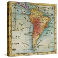 World Map III-Liz Jardine-Stretched Canvas