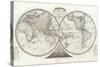 World Map in Two Hemispheres-null-Stretched Canvas