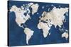 World Map NavyGold-Alicia Vidal-Stretched Canvas