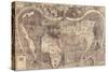 World Map Universalis Cosmographia, 1507-Martin Waldseemüller-Stretched Canvas