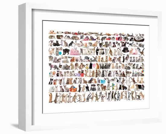 World of Cats-null-Framed Art Print