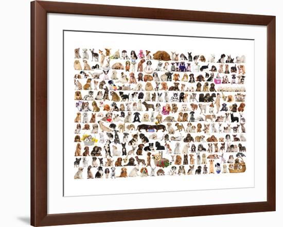 World of Dogs-null-Framed Art Print