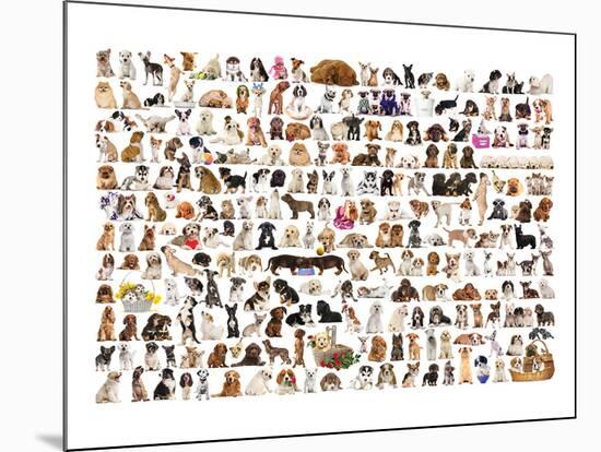 World of Dogs-null-Mounted Art Print