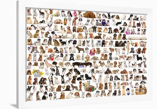 World Of Dogs-null-Framed Poster