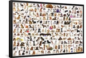 World Of Dogs-null-Framed Poster