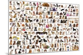 World Of Dogs-null-Mounted Poster
