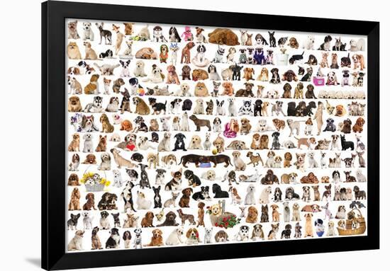 World Of Dogs-null-Framed Poster