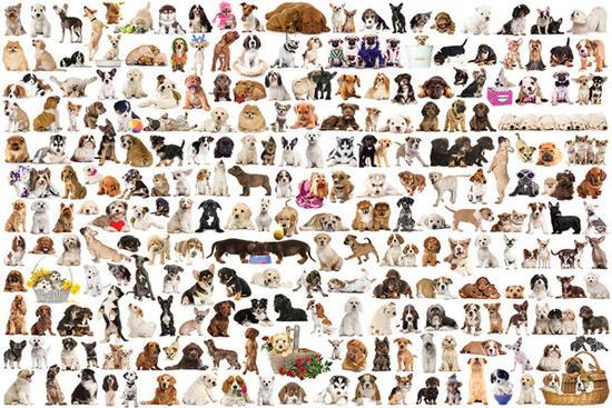 Poster, , large