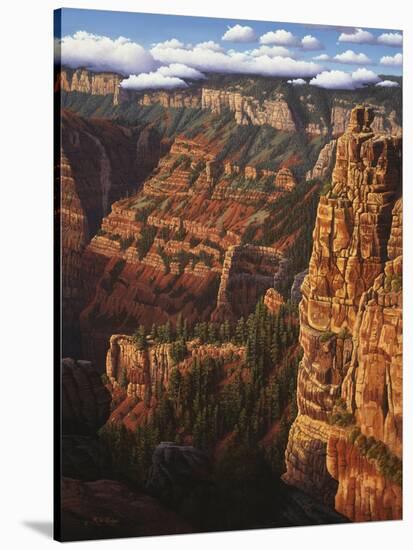 World of Wonders-R.W. Hedge-Stretched Canvas