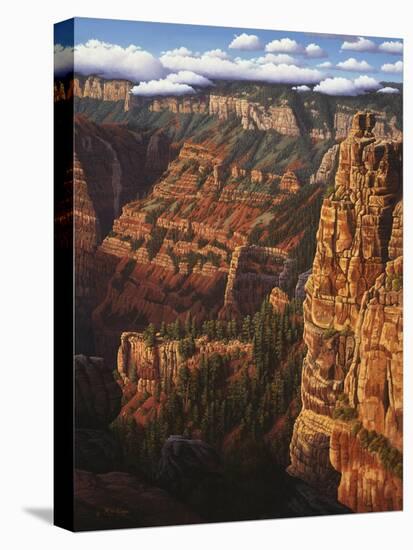 World of Wonders-R.W. Hedge-Stretched Canvas