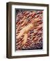 World on Fire 4, 1999-Evelyn Williams-Framed Giclee Print