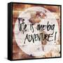 World on Wood-Sd Graphics Studio-Framed Stretched Canvas