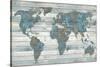 World on Wood-Jamie MacDowell-Stretched Canvas