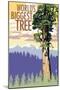 World's Biggest Tree - National Park WPA Sentiment-Lantern Press-Mounted Art Print