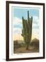 World's Largest Saguaro Cactus-null-Framed Art Print