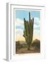 World's Largest Saguaro Cactus-null-Framed Art Print