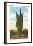 World's Largest Saguaro Cactus-null-Framed Art Print