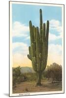 World's Largest Saguaro Cactus-null-Mounted Art Print