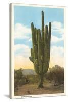 World's Largest Saguaro Cactus-null-Stretched Canvas