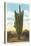 World's Largest Saguaro Cactus-null-Stretched Canvas