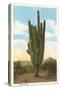 World's Largest Saguaro Cactus-null-Stretched Canvas