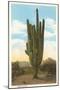 World's Largest Saguaro Cactus-null-Mounted Premium Giclee Print