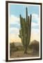 World's Largest Saguaro Cactus-null-Framed Art Print