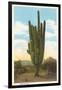 World's Largest Saguaro Cactus-null-Framed Art Print