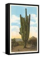 World's Largest Saguaro Cactus-null-Framed Stretched Canvas