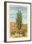 World's Largest Saguaro Cactus-null-Framed Art Print