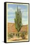 World's Largest Saguaro Cactus-null-Framed Stretched Canvas