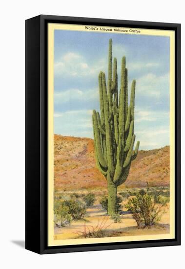 World's Largest Saguaro Cactus-null-Framed Stretched Canvas