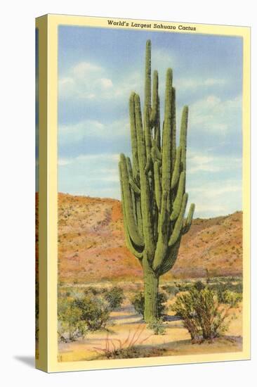 World's Largest Saguaro Cactus-null-Stretched Canvas