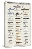World's Most Dangerous Sharks-null-Stretched Canvas