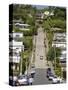 World's Steepest Street, Baldwin Street, Dunedin, Otago, South Island, New Zealand, Pacific-Michael Snell-Stretched Canvas