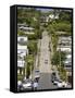 World's Steepest Street, Baldwin Street, Dunedin, Otago, South Island, New Zealand, Pacific-Michael Snell-Framed Stretched Canvas