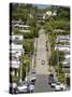 World's Steepest Street, Baldwin Street, Dunedin, Otago, South Island, New Zealand, Pacific-Michael Snell-Stretched Canvas