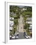 World's Steepest Street, Baldwin Street, Dunedin, Otago, South Island, New Zealand, Pacific-Michael Snell-Framed Photographic Print