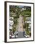 World's Steepest Street, Baldwin Street, Dunedin, Otago, South Island, New Zealand, Pacific-Michael Snell-Framed Photographic Print