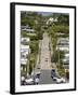 World's Steepest Street, Baldwin Street, Dunedin, Otago, South Island, New Zealand, Pacific-Michael Snell-Framed Photographic Print