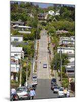 World's Steepest Street, Baldwin Street, Dunedin, Otago, South Island, New Zealand, Pacific-Michael Snell-Mounted Photographic Print