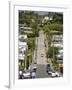 World's Steepest Street, Baldwin Street, Dunedin, Otago, South Island, New Zealand, Pacific-Michael Snell-Framed Photographic Print