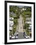 World's Steepest Street, Baldwin Street, Dunedin, Otago, South Island, New Zealand, Pacific-Michael Snell-Framed Photographic Print