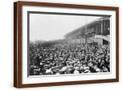 Brown Frame