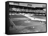 World Series, 1941-null-Framed Stretched Canvas