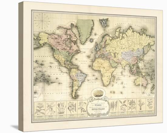 World Spice Trade Map-The Vintage Collection-Stretched Canvas