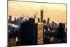 World Trade Sunset-Philippe Hugonnard-Mounted Giclee Print