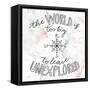 World Traveler II-Laura Marshall-Framed Stretched Canvas