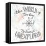 World Traveler II-Laura Marshall-Framed Stretched Canvas