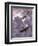 World War I Battle Between French (Model Nieuport 17) and German (Albatros D-Iii) Aircrafts-Prisma-Framed Photographic Print